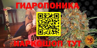 шишки Кумертау