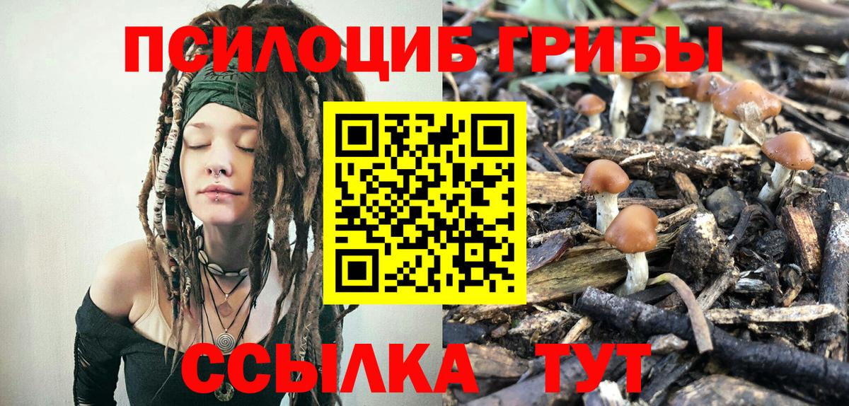Владивосток  Галлюциногенные грибы GOLDEN TEACHER  Псилоцибиновые грибы Magic Shrooms  Вход с VPN 