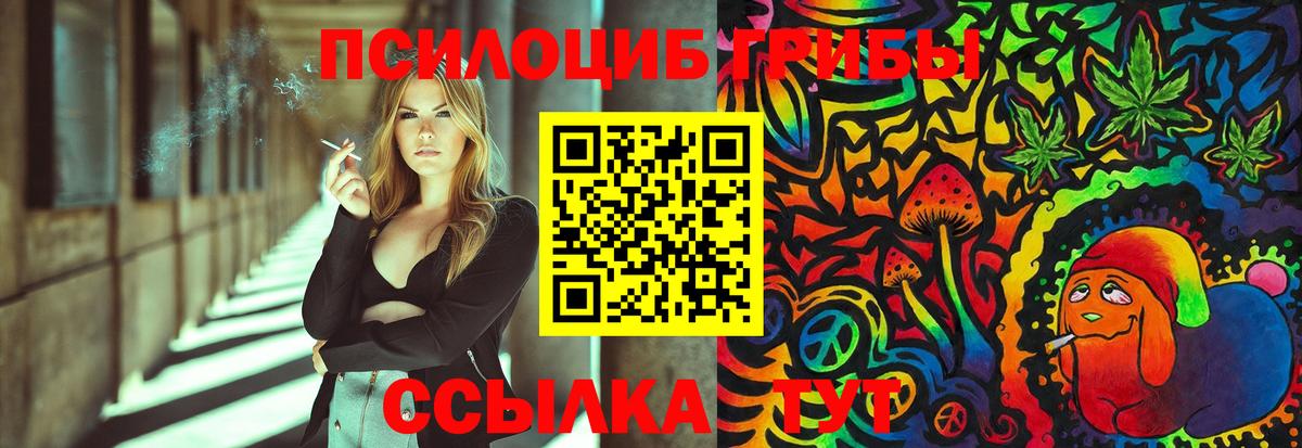 Галлюциногенные грибы мицелий Владивосток